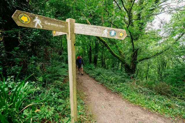 The Offa's Dyke path